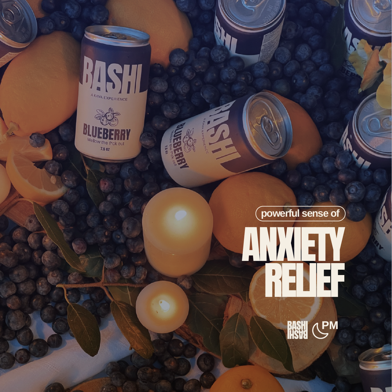 Bashi | Blueberry Lemon